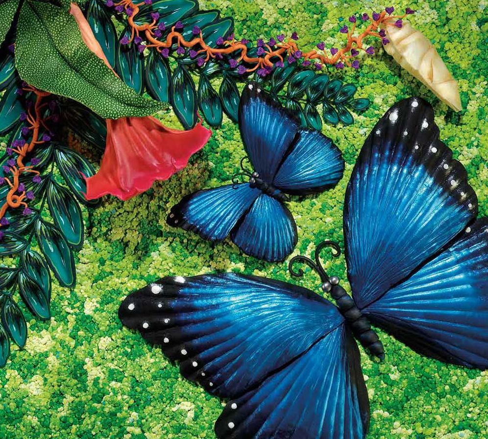 Over in the Jungle: A Rainforest Rhyme