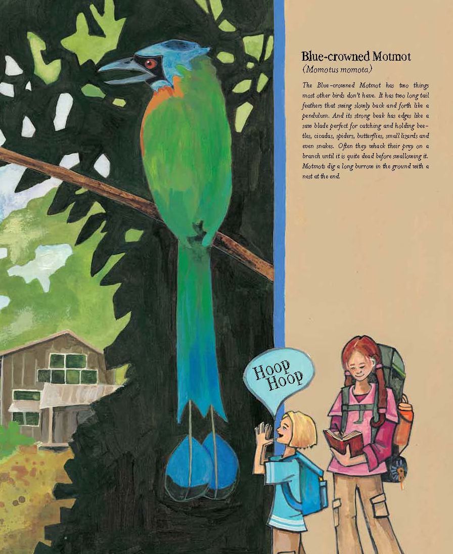 The Forever Forest: Kids Save a Tropical Treasure