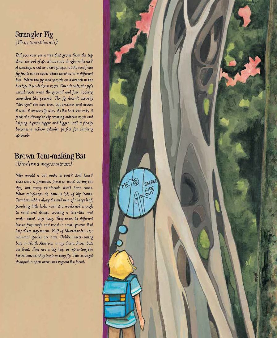 The Forever Forest: Kids Save a Tropical Treasure