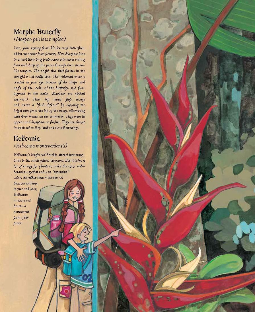 The Forever Forest: Kids Save a Tropical Treasure