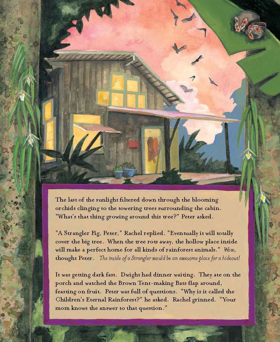 The Forever Forest: Kids Save a Tropical Treasure