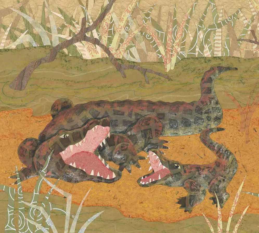 Over in Australia: Amazing Animals Down Under