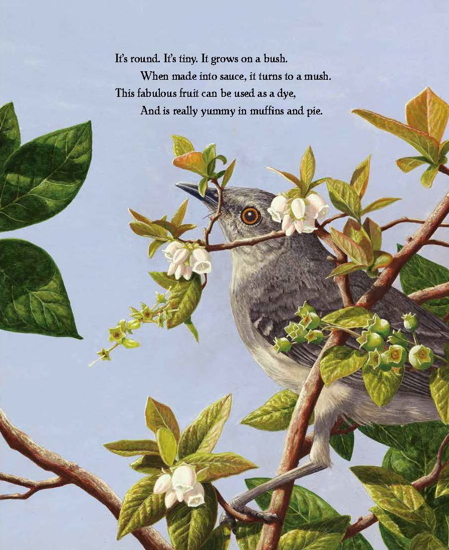 What's in the Garden?