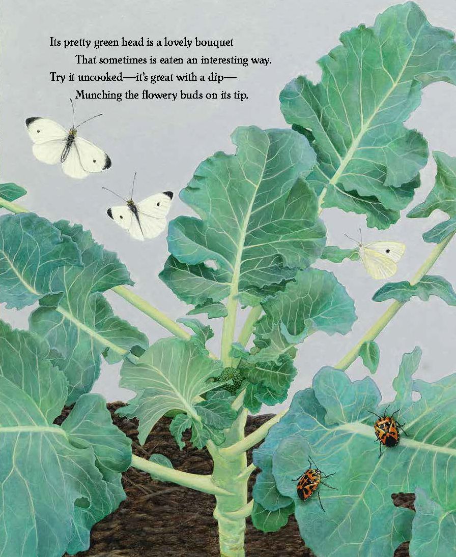 What's in the Garden?