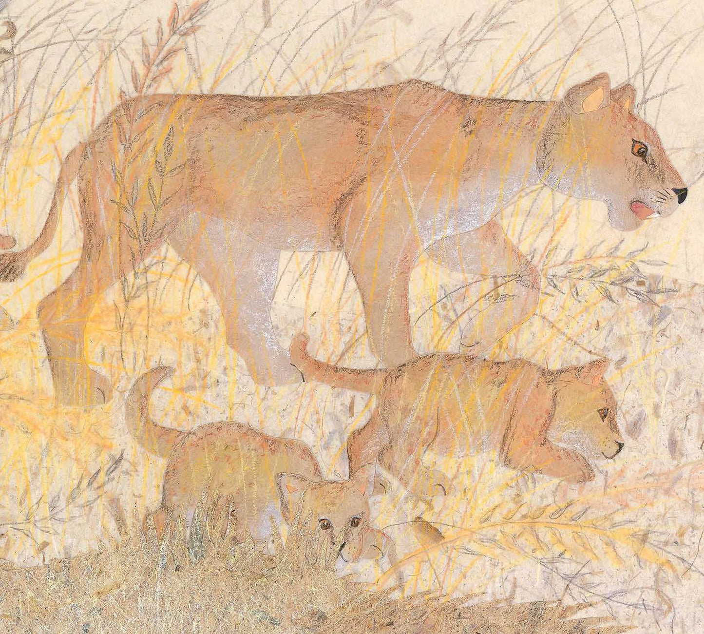 Over in the Grasslands: On an African Savanna