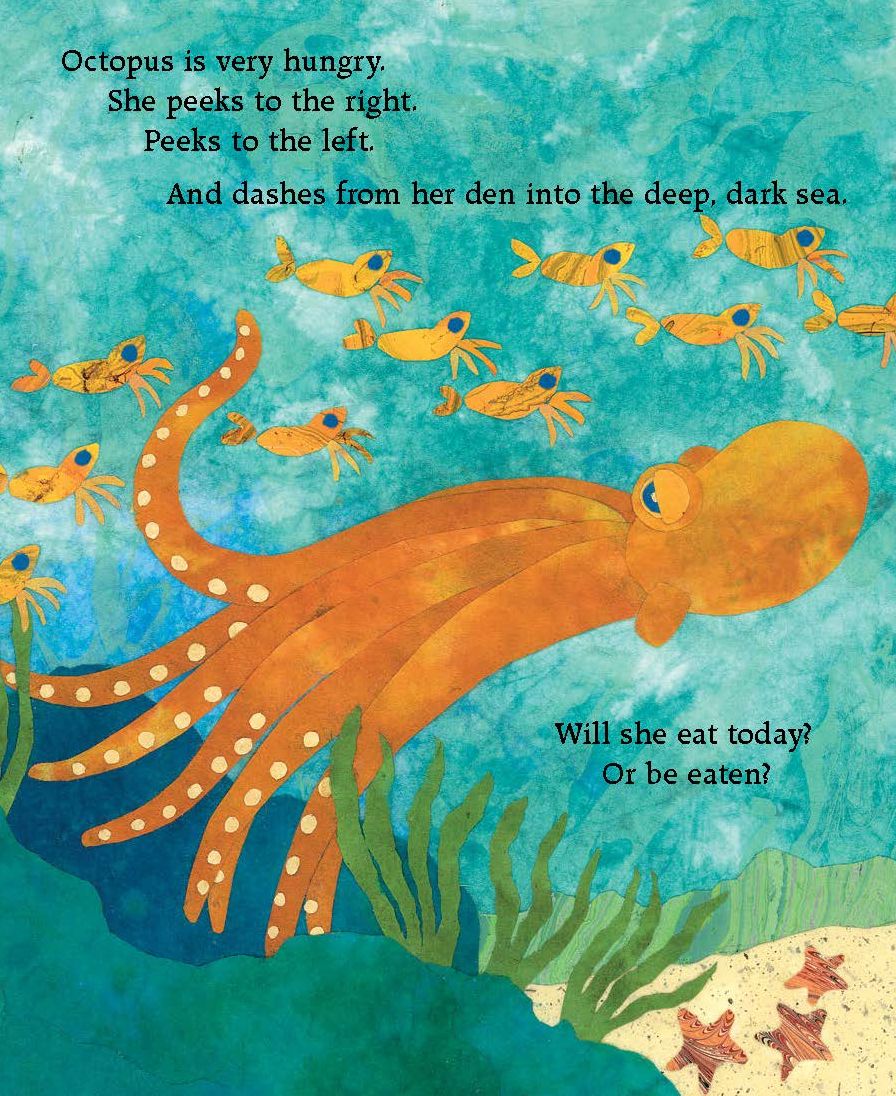 Octopus Escapes Again!
