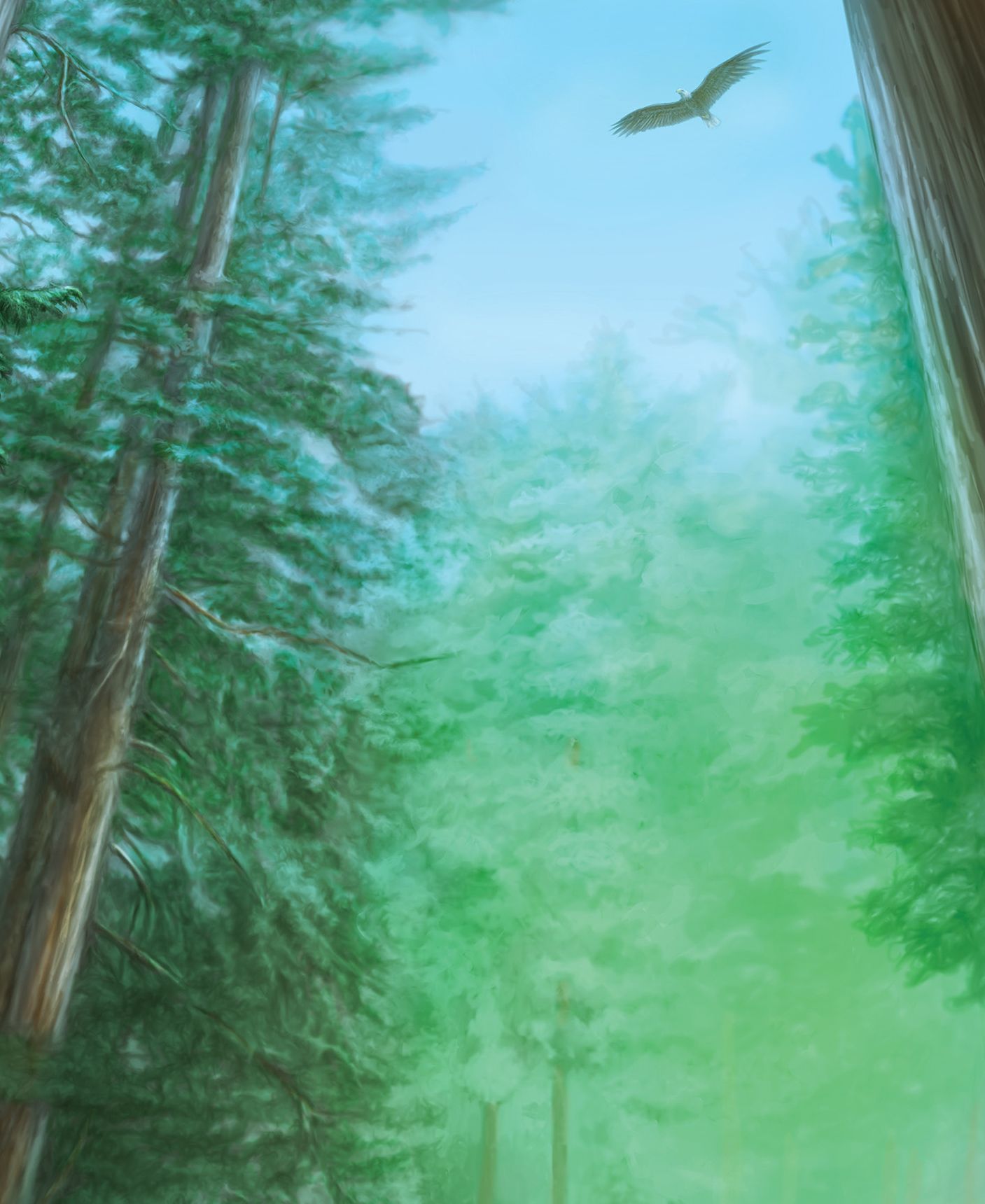 Tall Tall Tree: