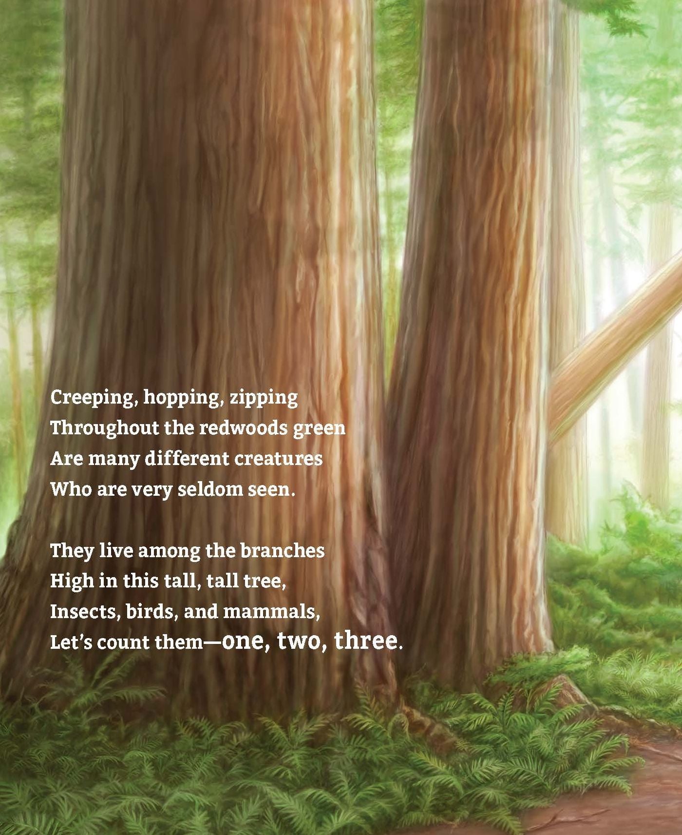Tall Tall Tree: