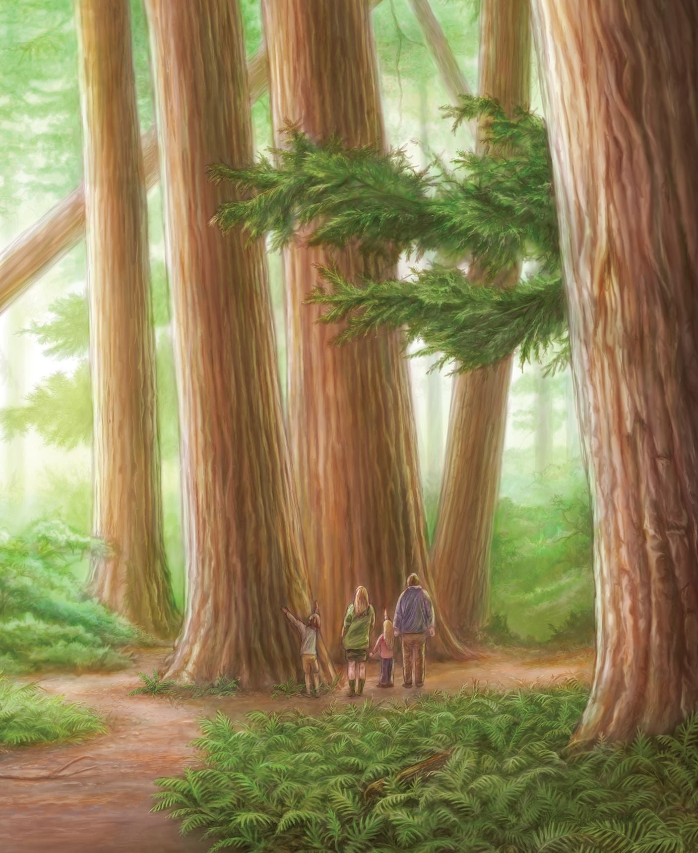 Tall Tall Tree: