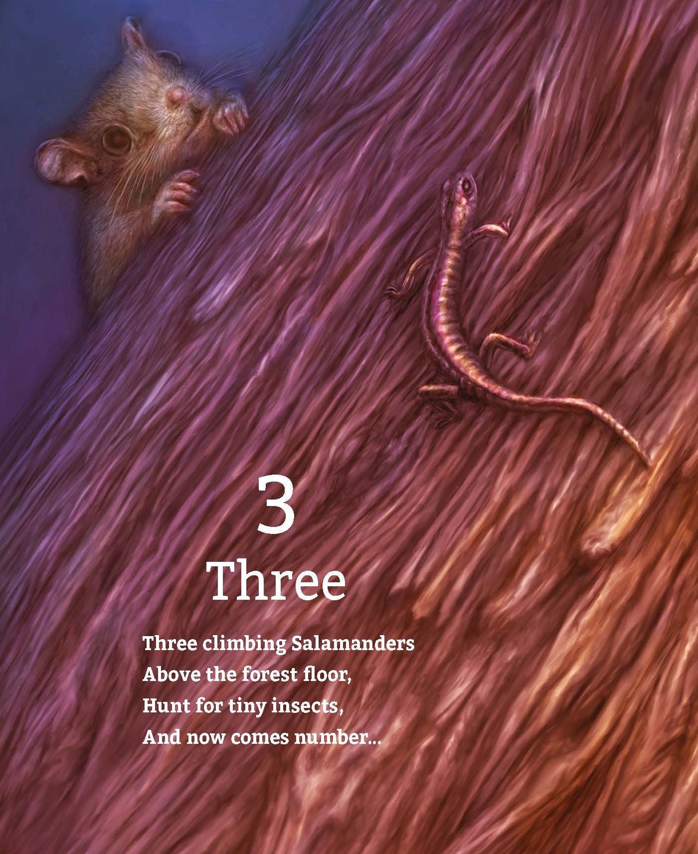 Tall Tall Tree: