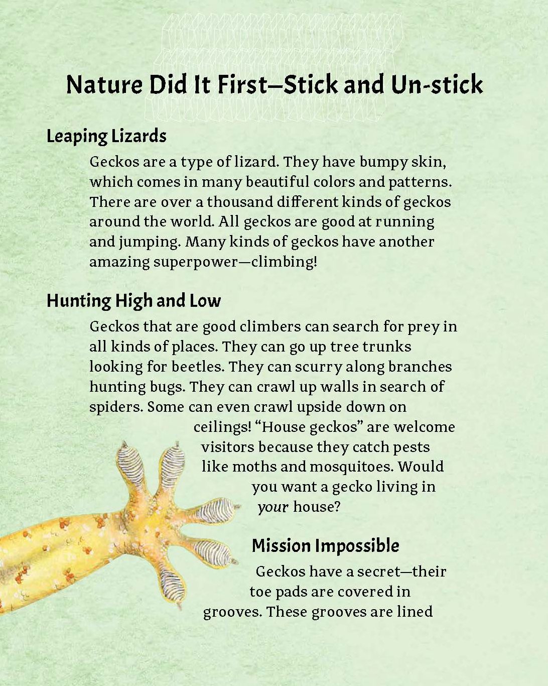 Nature Did It First: Engineering Through Biomimicry