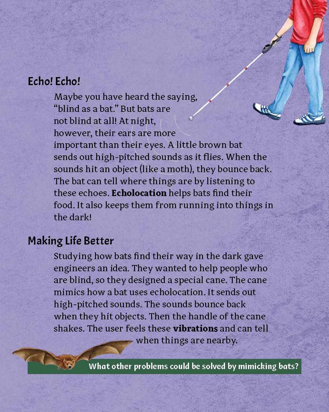 Nature Did It First: Engineering Through Biomimicry