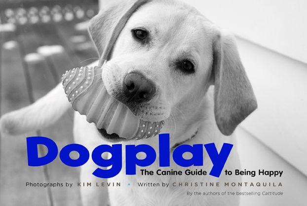 Dogplay: The Canine Guide to Being Happy