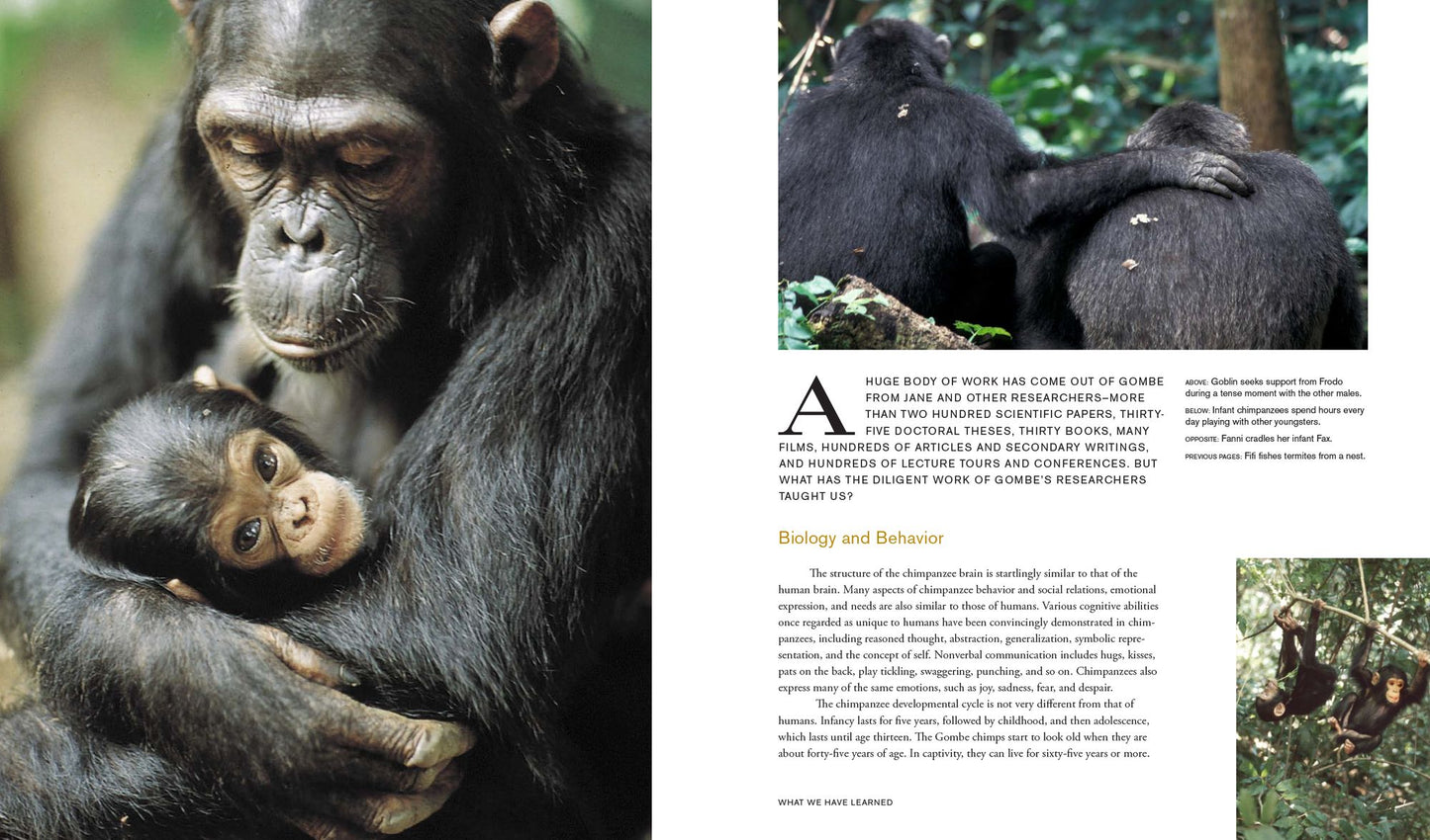 Jane Goodall: 50 Years at Gombe