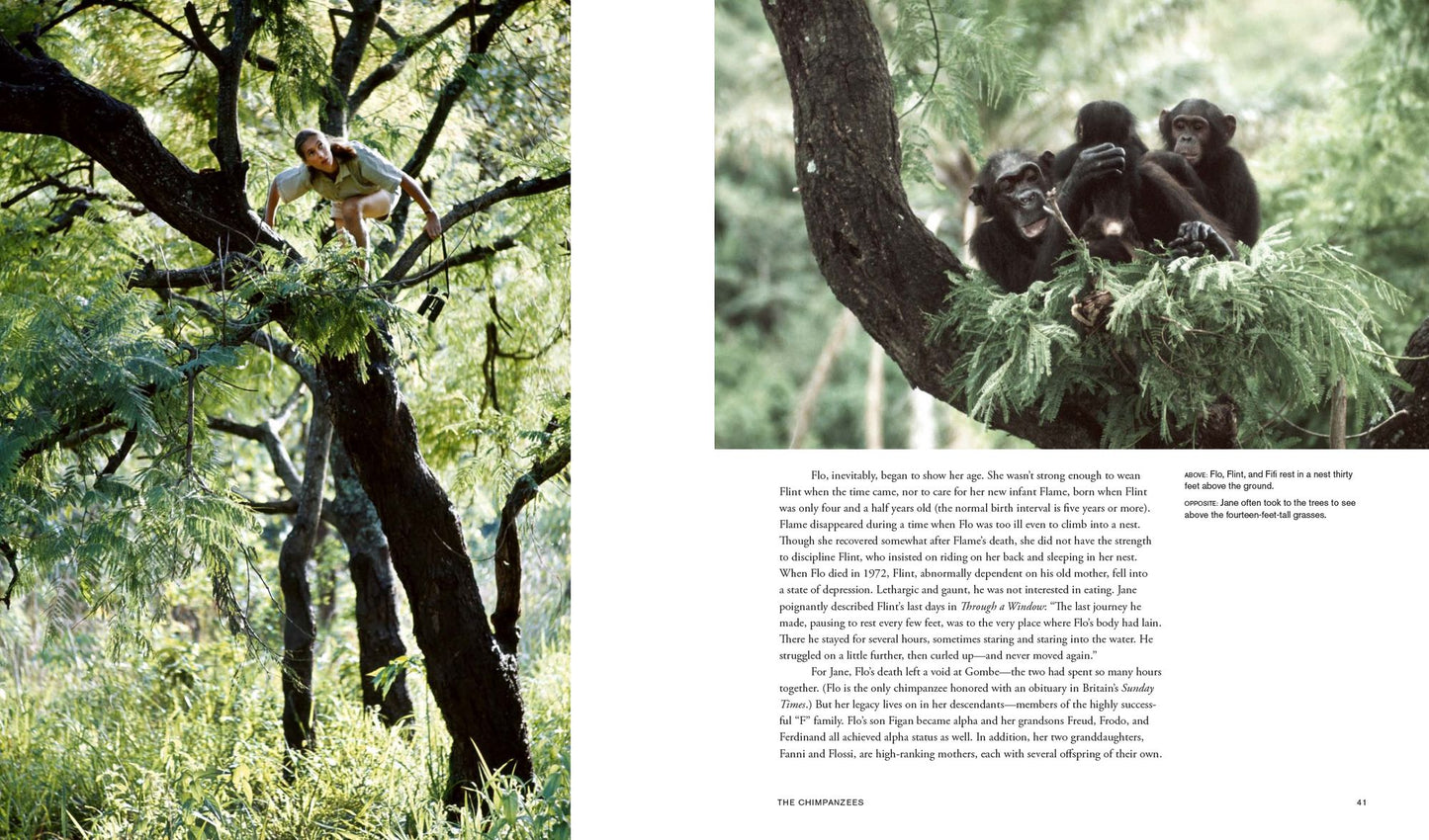 Jane Goodall: 50 Years at Gombe