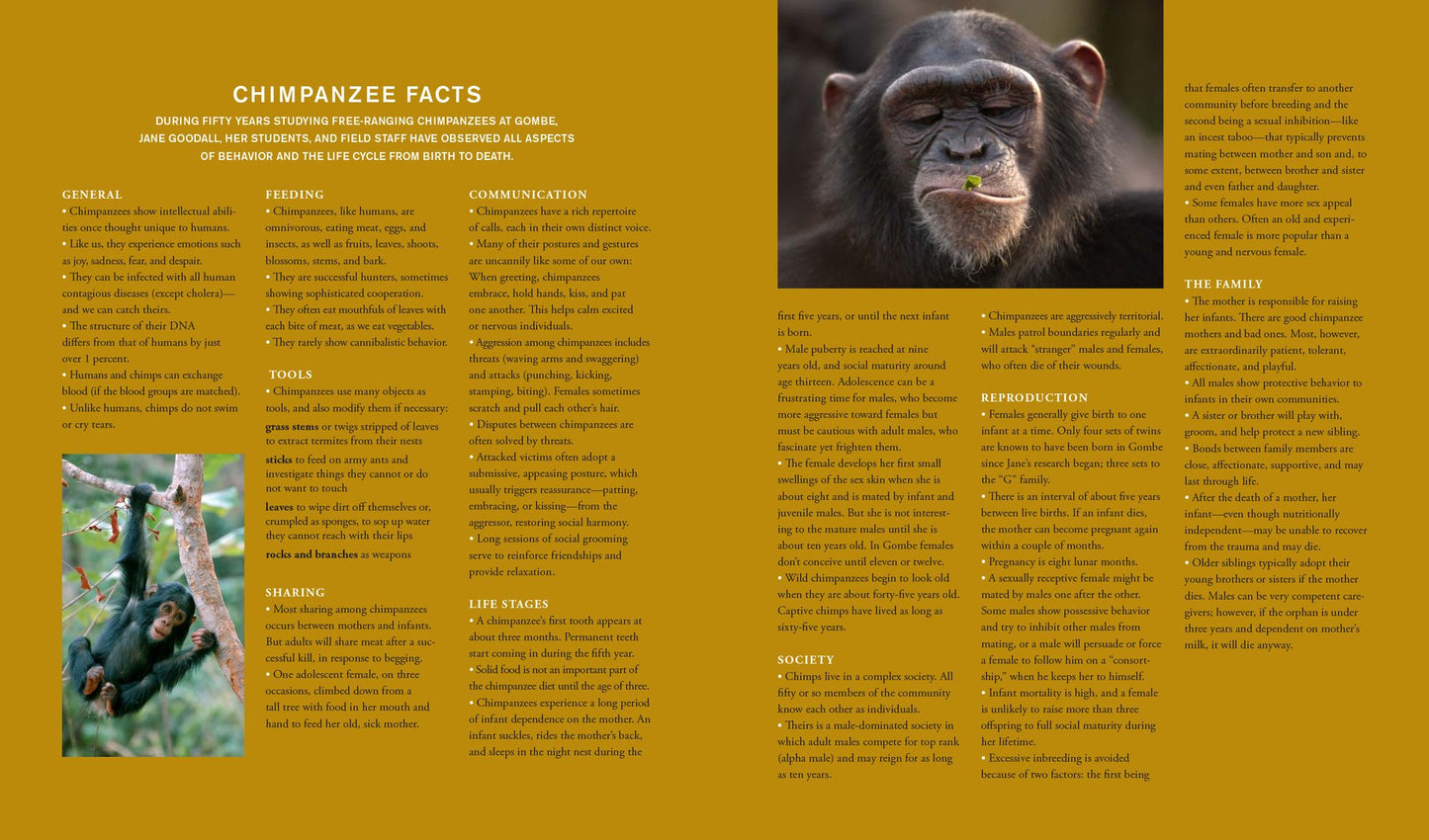 Jane Goodall: 50 Years at Gombe