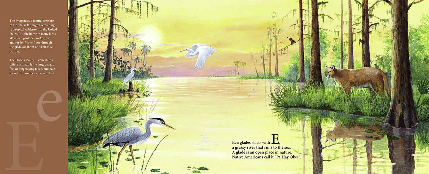 S is for Sunshine: A Florida Alphabet