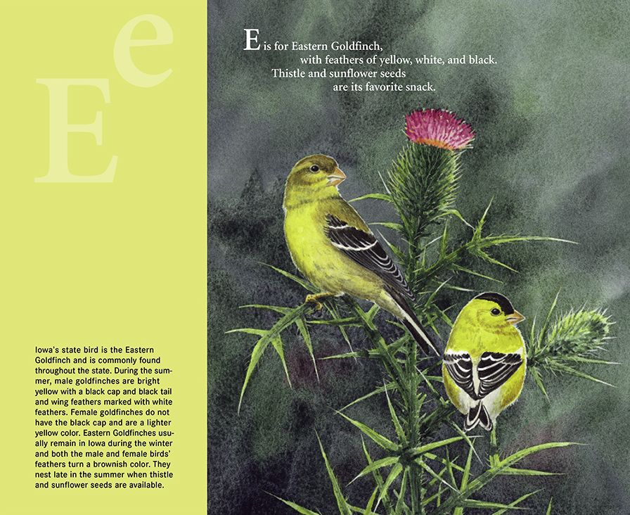 H is for Hawkeye: An Iowa Alphabet