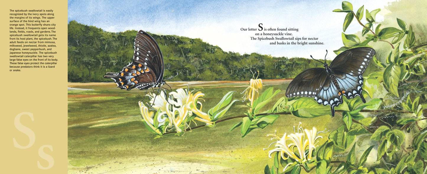 M Is For Magnolia: A Mississippi Alphabet Book