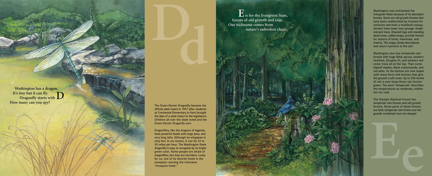 E is for Evergreen: A Washington State Alphabet