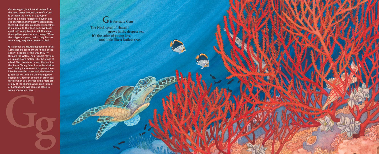 A is for Aloha: A Hawai'i Alphabet