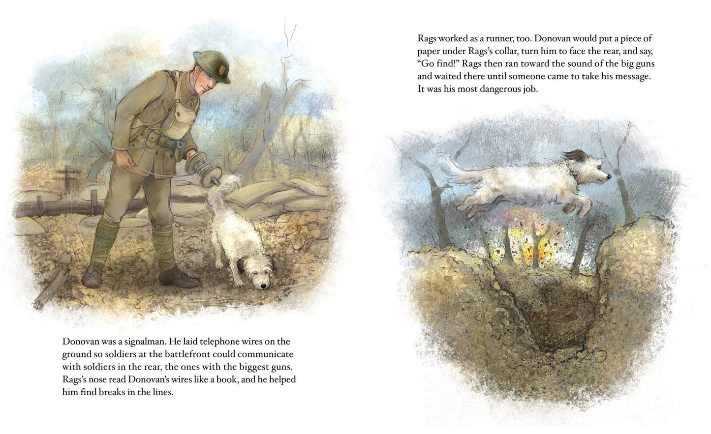Rags: Hero Dog of WWI: A True Story