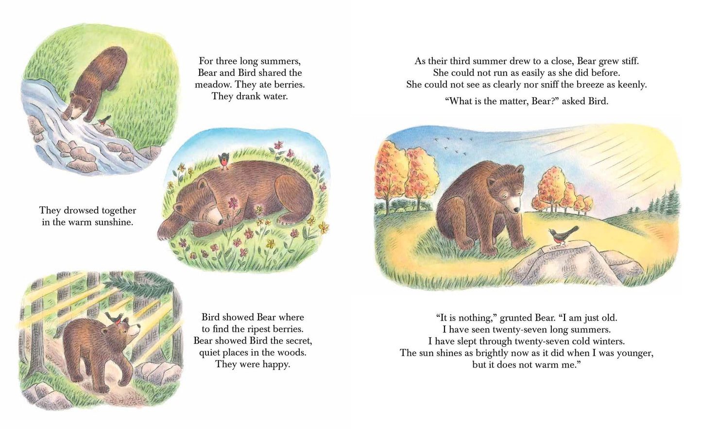 Bear and Bird