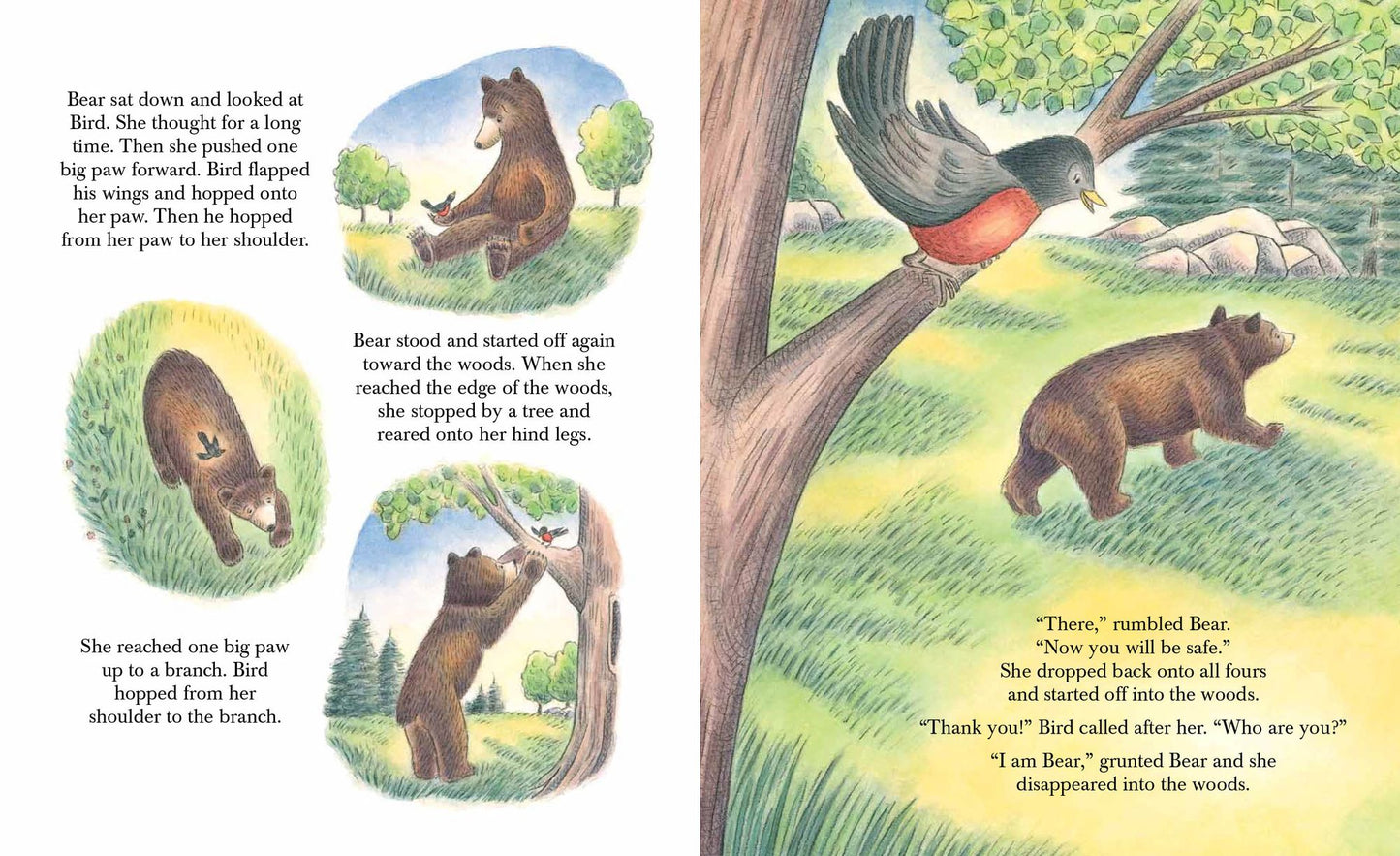 Bear and Bird