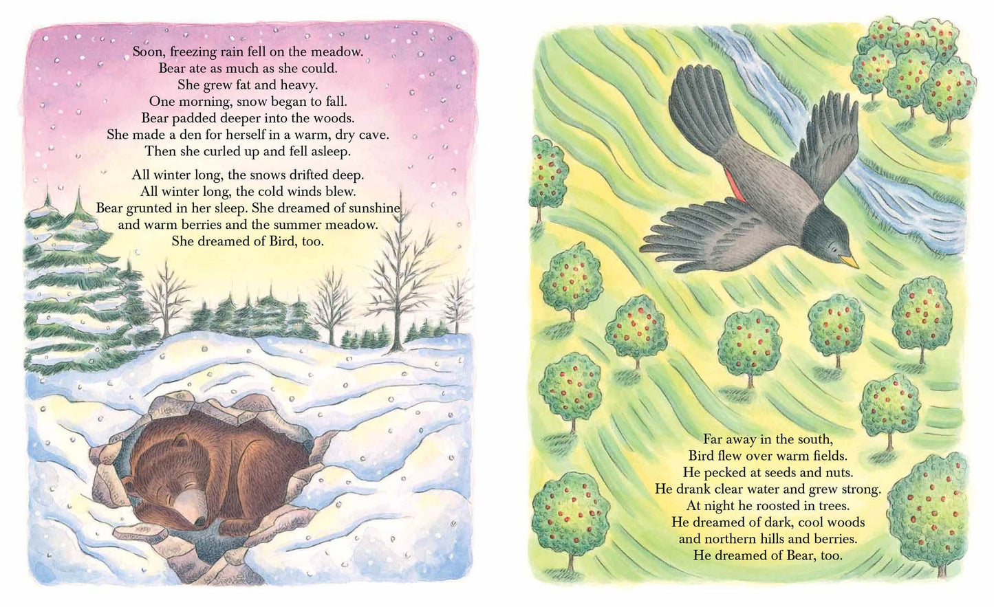 Bear and Bird