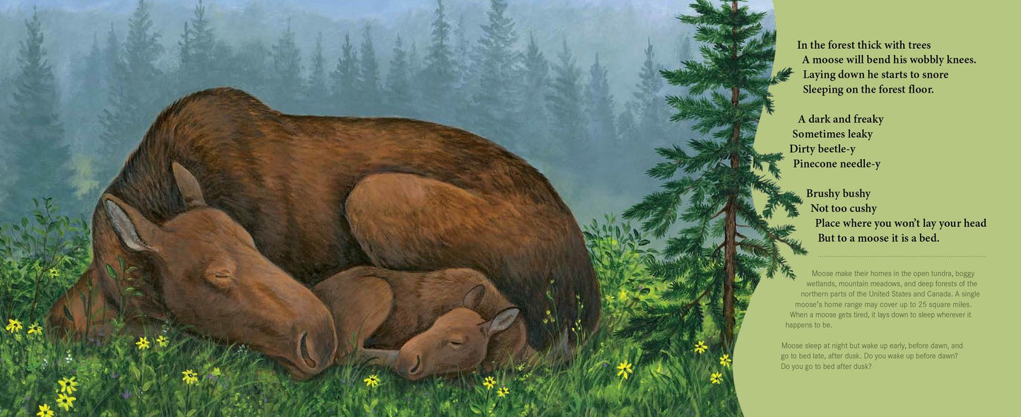 Sleepy Snoozy Cozy Coozy Animals