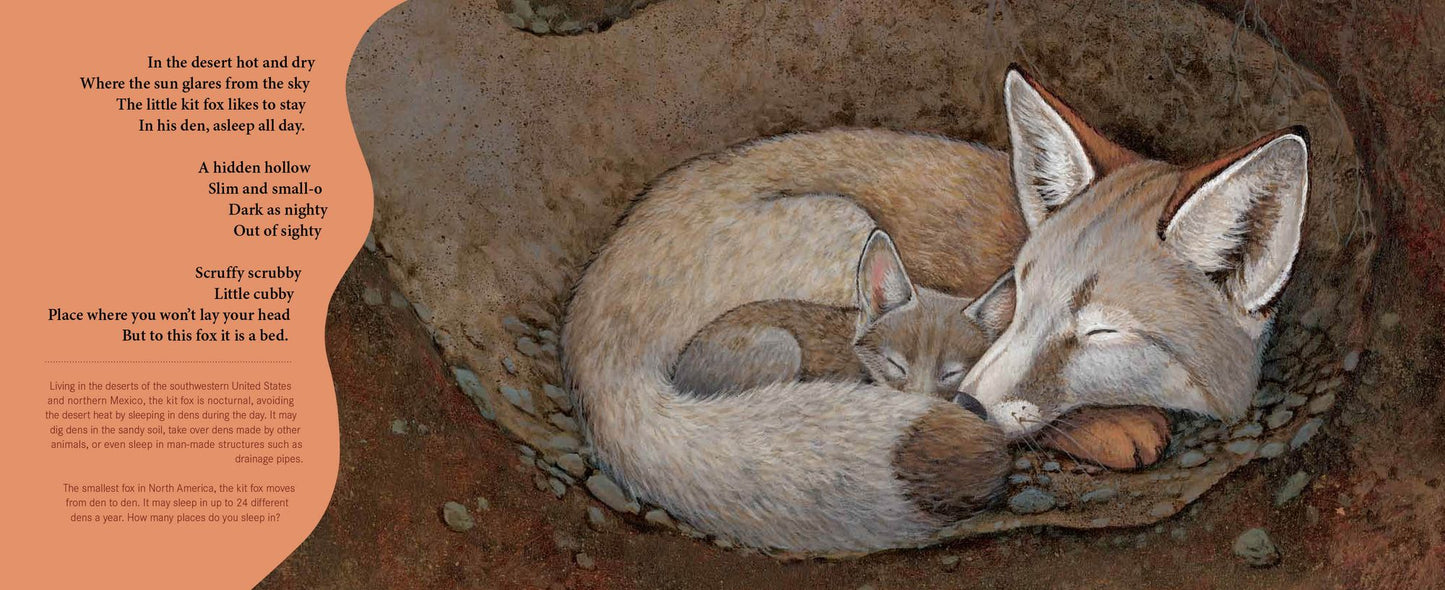 Sleepy Snoozy Cozy Coozy Animals