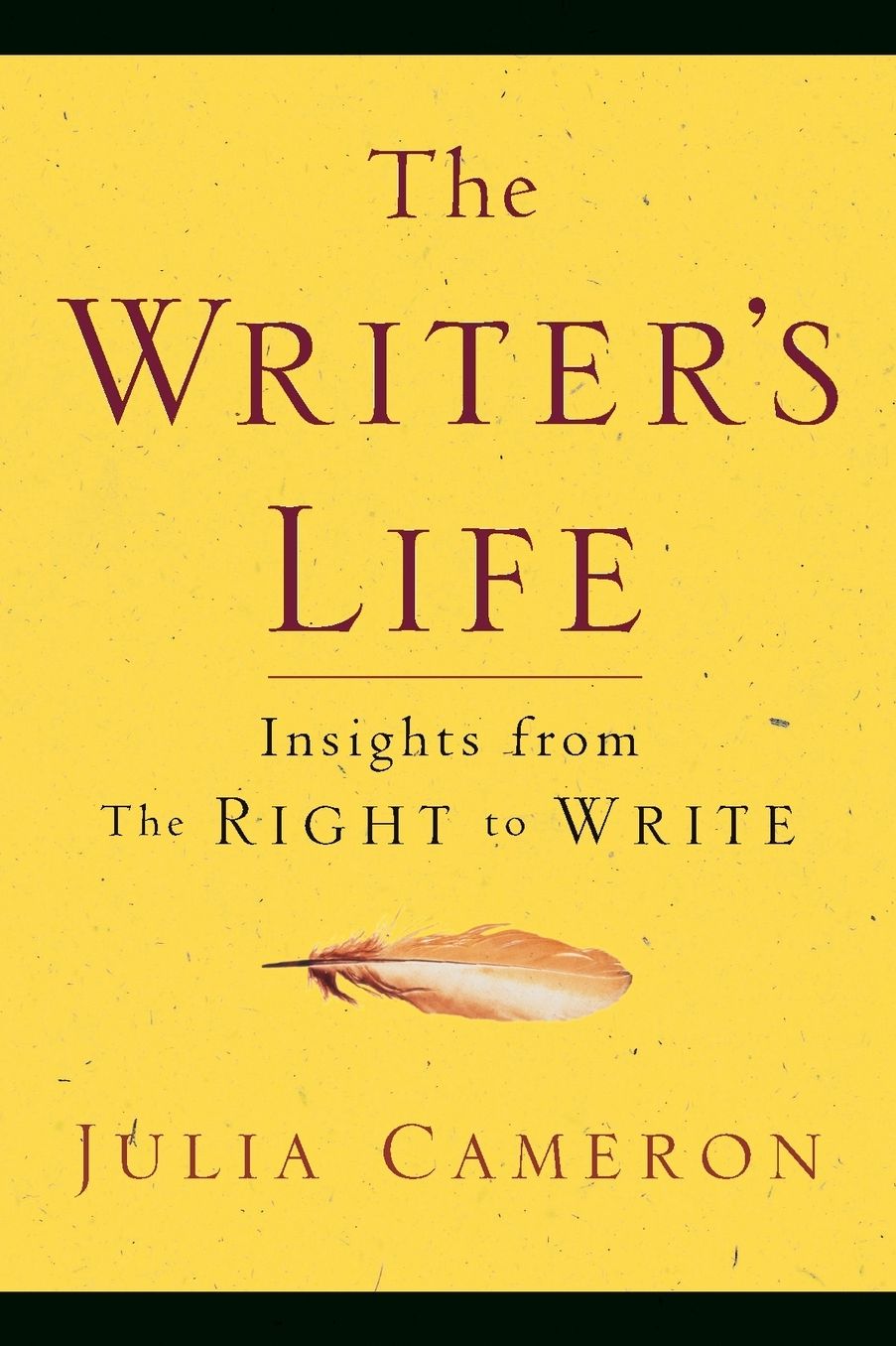 The Writer's Life: Insights from The Right to Write