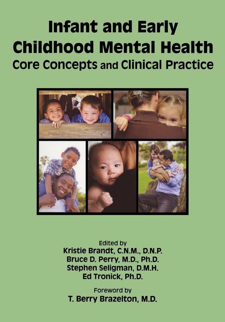 Infant and Early Childhood Mental Health: Core Concepts and Clinical Practice