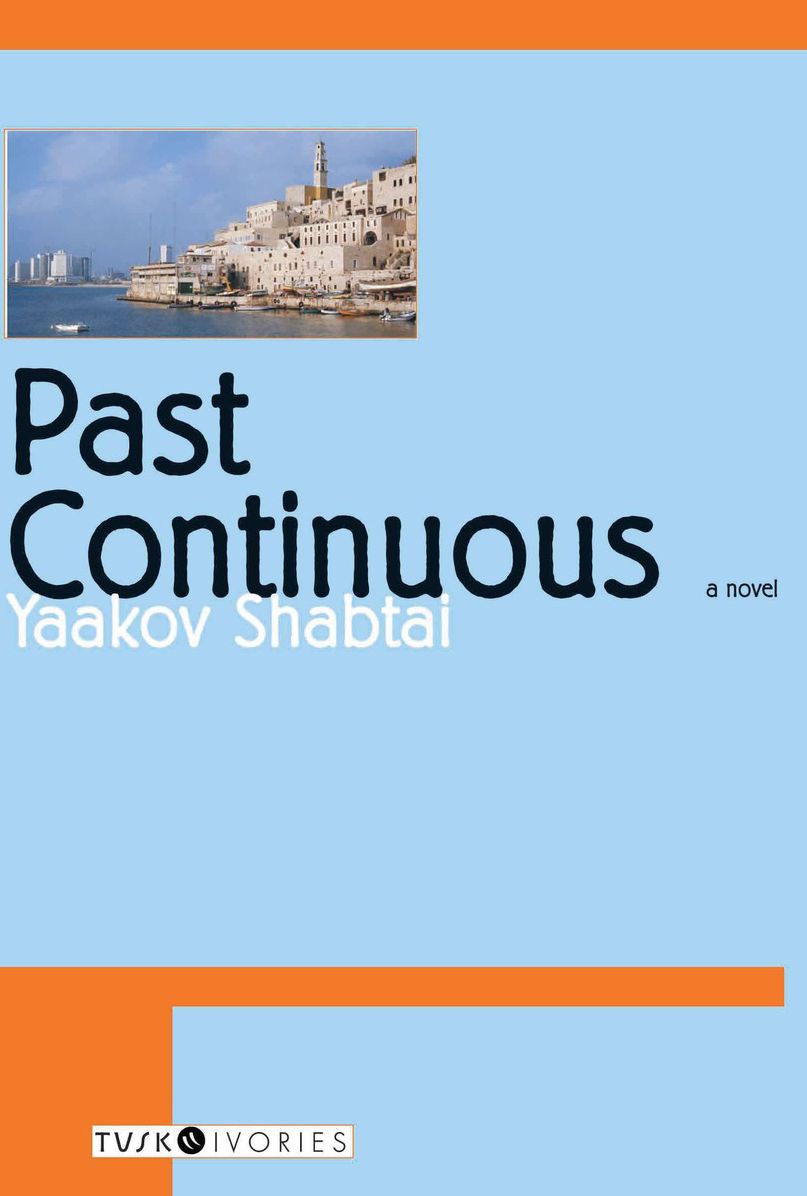 Past Continuous