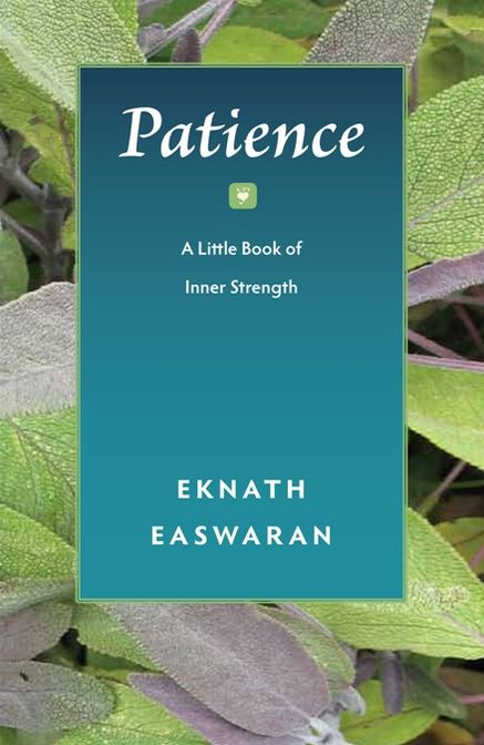 Patience: A Little Book of Inner Strength (Pocket Wisdom Series)