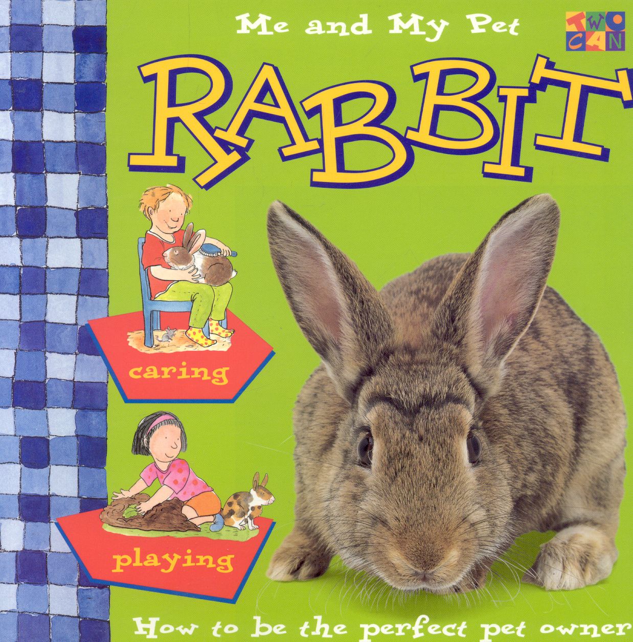 Rabbit
