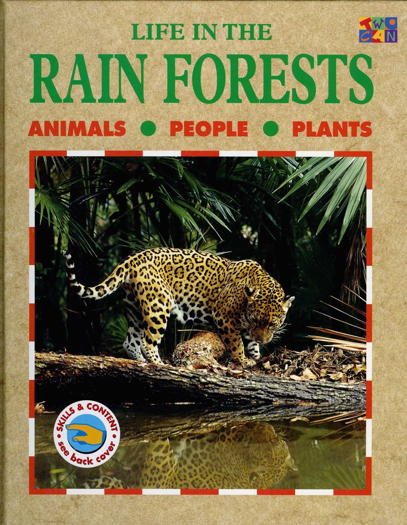 Rain Forests
