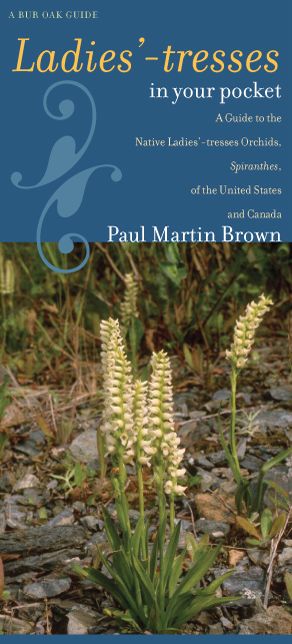 Ladies'-Tresses In Your Pocket: A Guide To The Native Ladies'-Tresses Orchids, Spiranthes, Of The United States And Canada