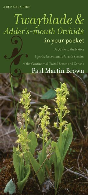 Twayblades and Adder's-mouth Orchids in Your Pocket: A Guide to the Native Liparis, Listera, and Malaxis Species of the Continental United States and Canada