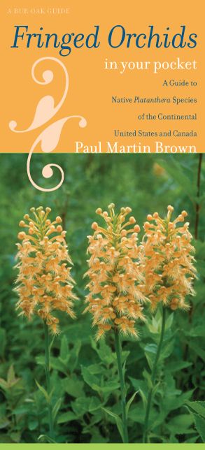 Fringed Orchids in Your Pocket: A Guide to Native Platanthera Species of the Continental United States and Canada