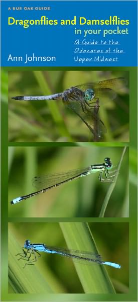 Dragonflies and Damselflies in Your Pocket: A Guide to the Odonates of the Upper Midwest