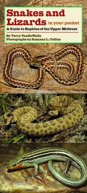 Snakes and Lizards in Your Pocket: A Guide to Reptiles of the Upper Midwest