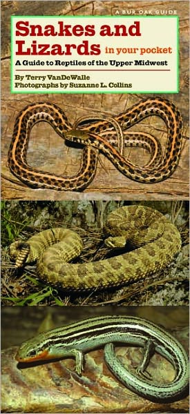 Snakes and Lizards in Your Pocket: A Guide to Reptiles of the Upper Midwest