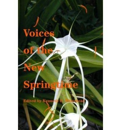 Voices of the New Springtime: The Life and Work of the Catholic Church in the 21st Century