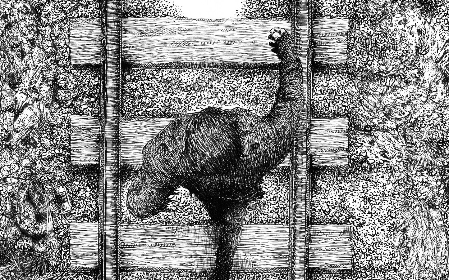 The Dark Man: An Illustrated Poem