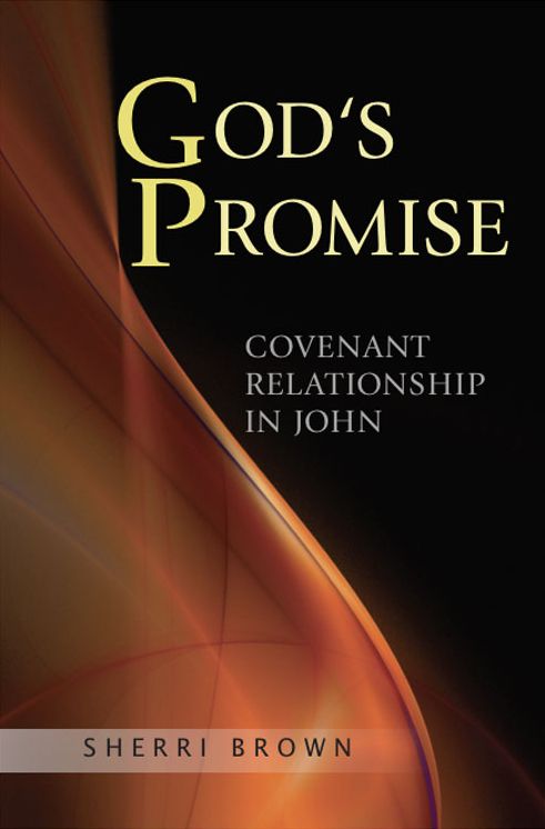 God's Promise: Covenant Relationship in John