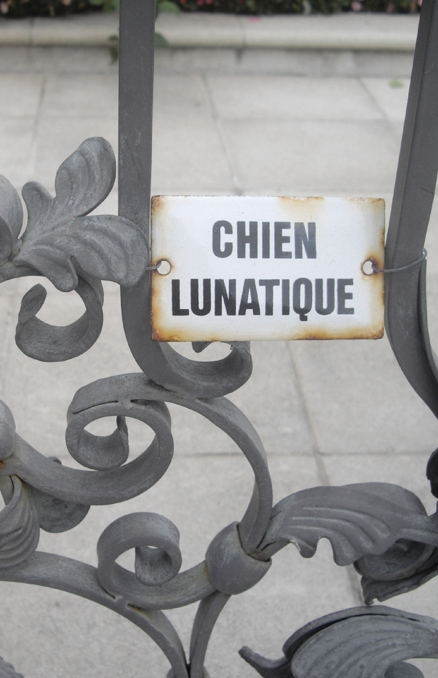 Chien Lunatique: Poems