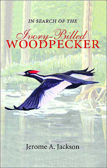 In Search of the Ivory-Billed Woodpecker