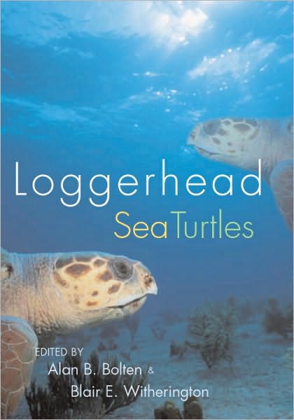 Loggerhead Sea Turtles