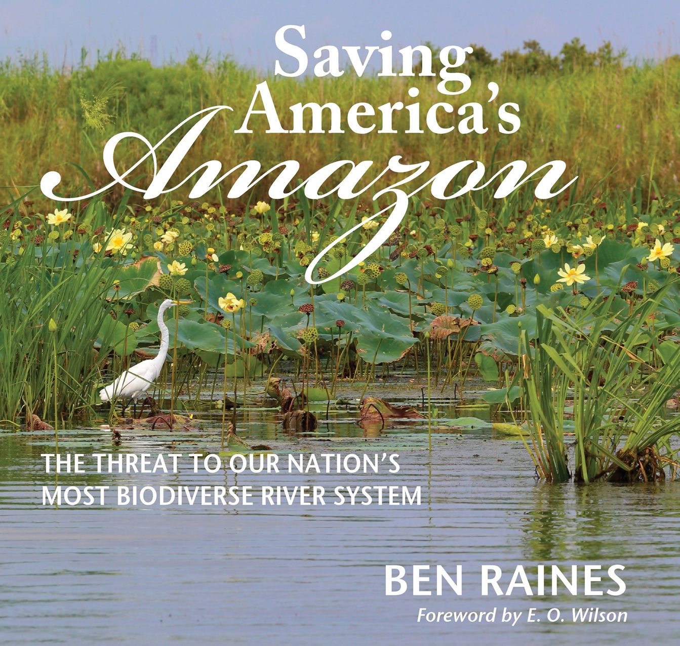 Saving America's Amazon: The threat to our nation's most biodiverse river system